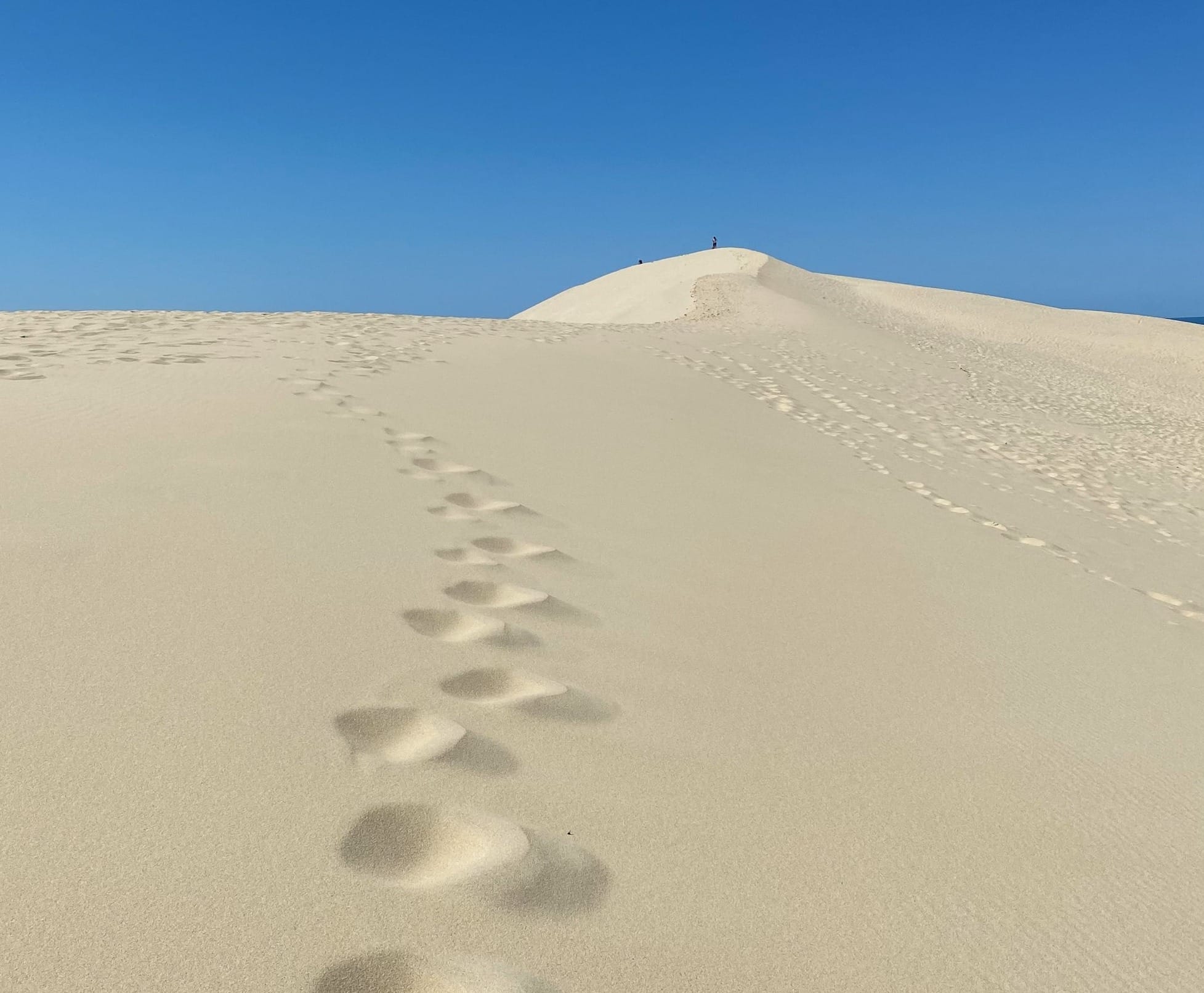 Que faire à Arcachon ? Top 23 des activités incontournables Image de l’article