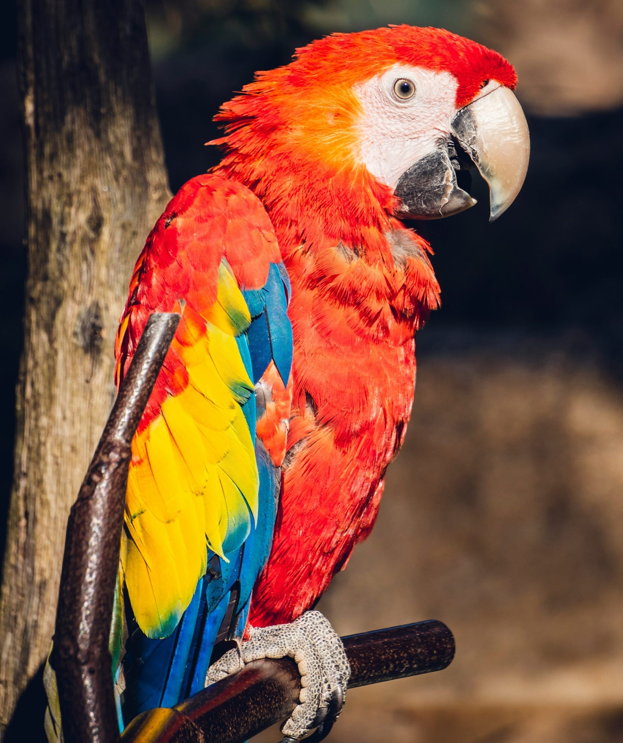 Que faire à La Palmyre ? Le top 10 des activités incontournables ! Image de l’article