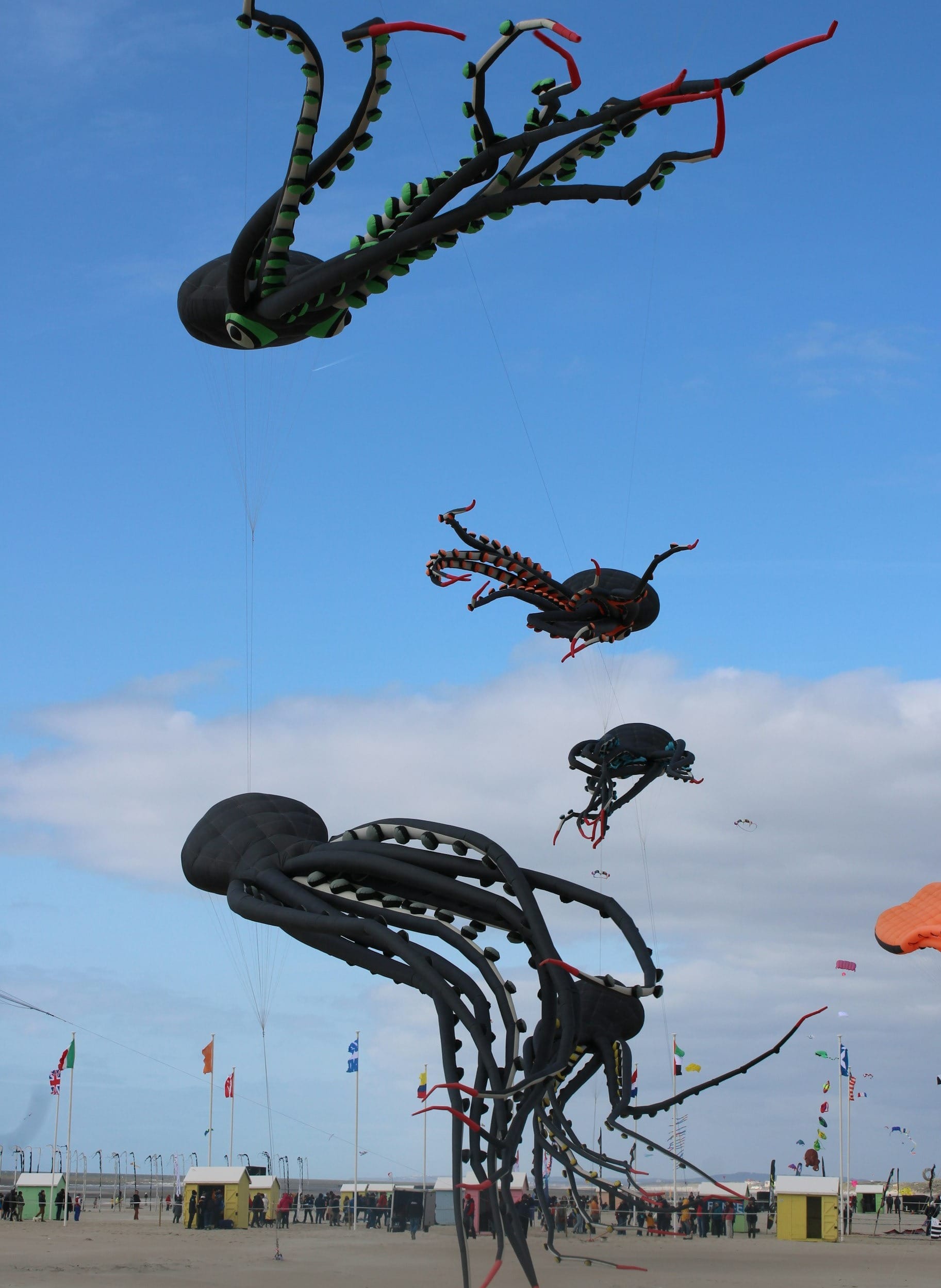 Que faire à Berck ? Top 10 des activités incontournables Image de l’article